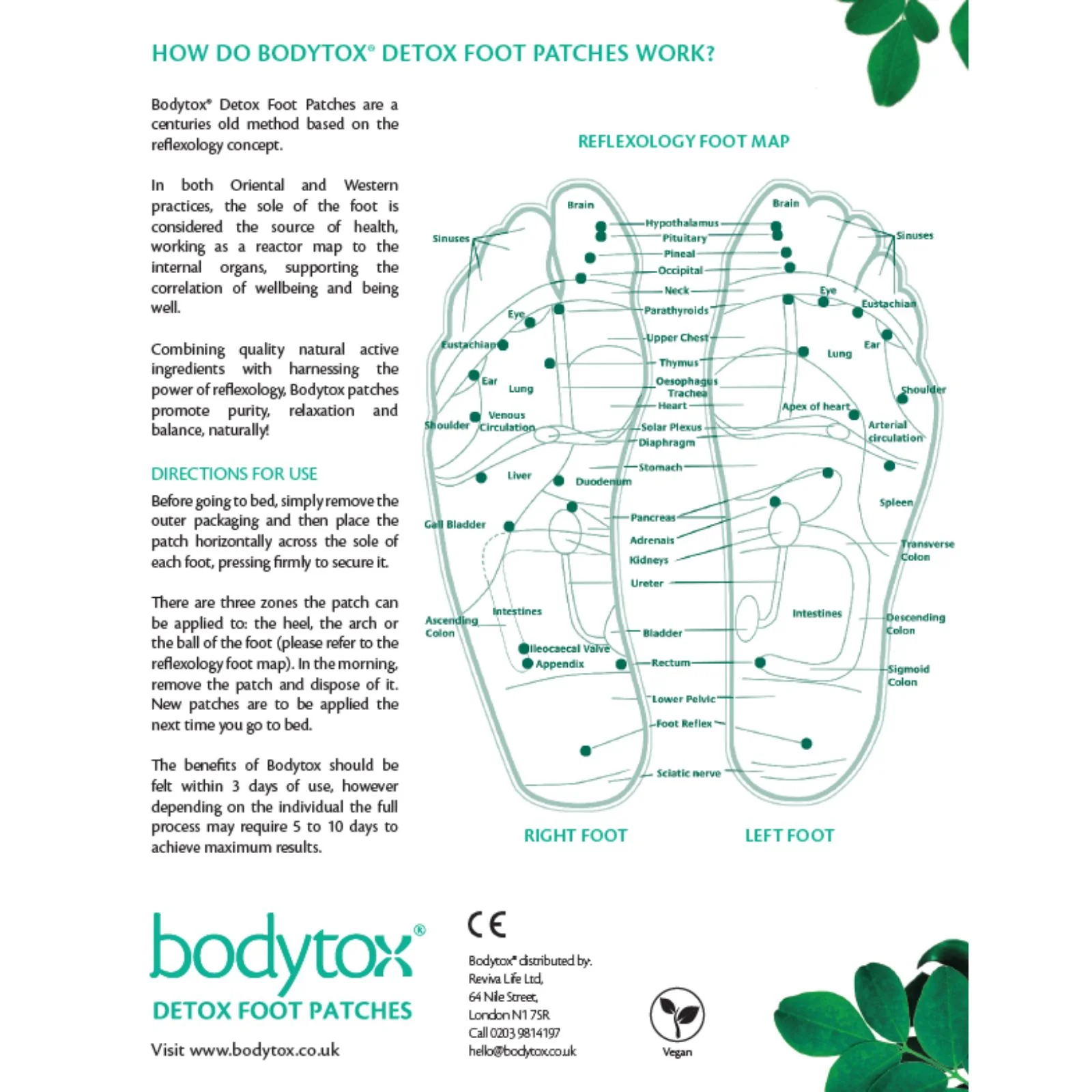 Detox Foot Patches Box of 10 - Image 2