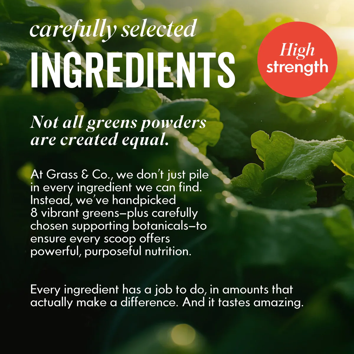 Grass & Co ACTIVE Super Greens Powder 120g - Image 3