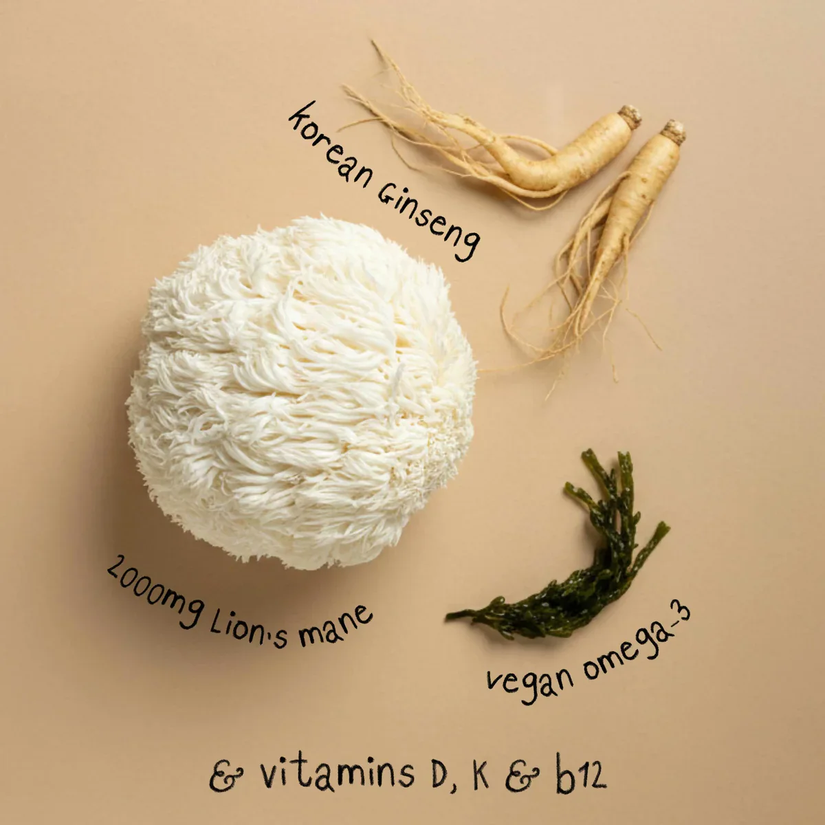 Grass & Co. FOCUS Lion's Mane Mushrooms Powder with Ginseng + Omega-3 100g - Image 6