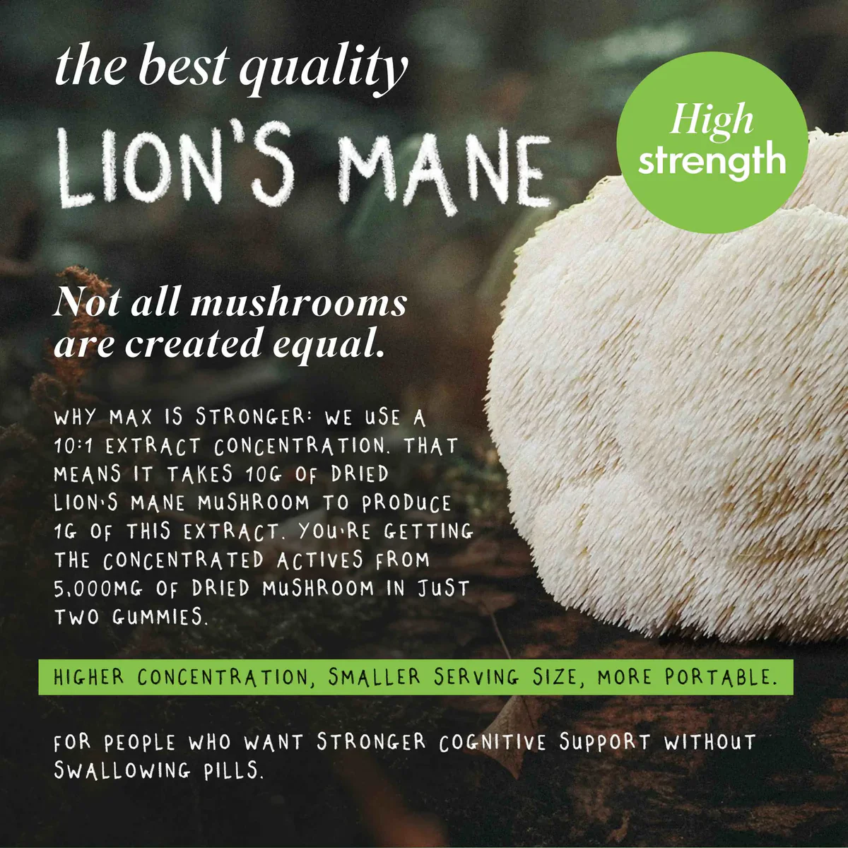 Grass & Co. FOCUS MAX 5000mg Lions Mane Elderflower & Lemon Gummies 60 Gummies - Image 8