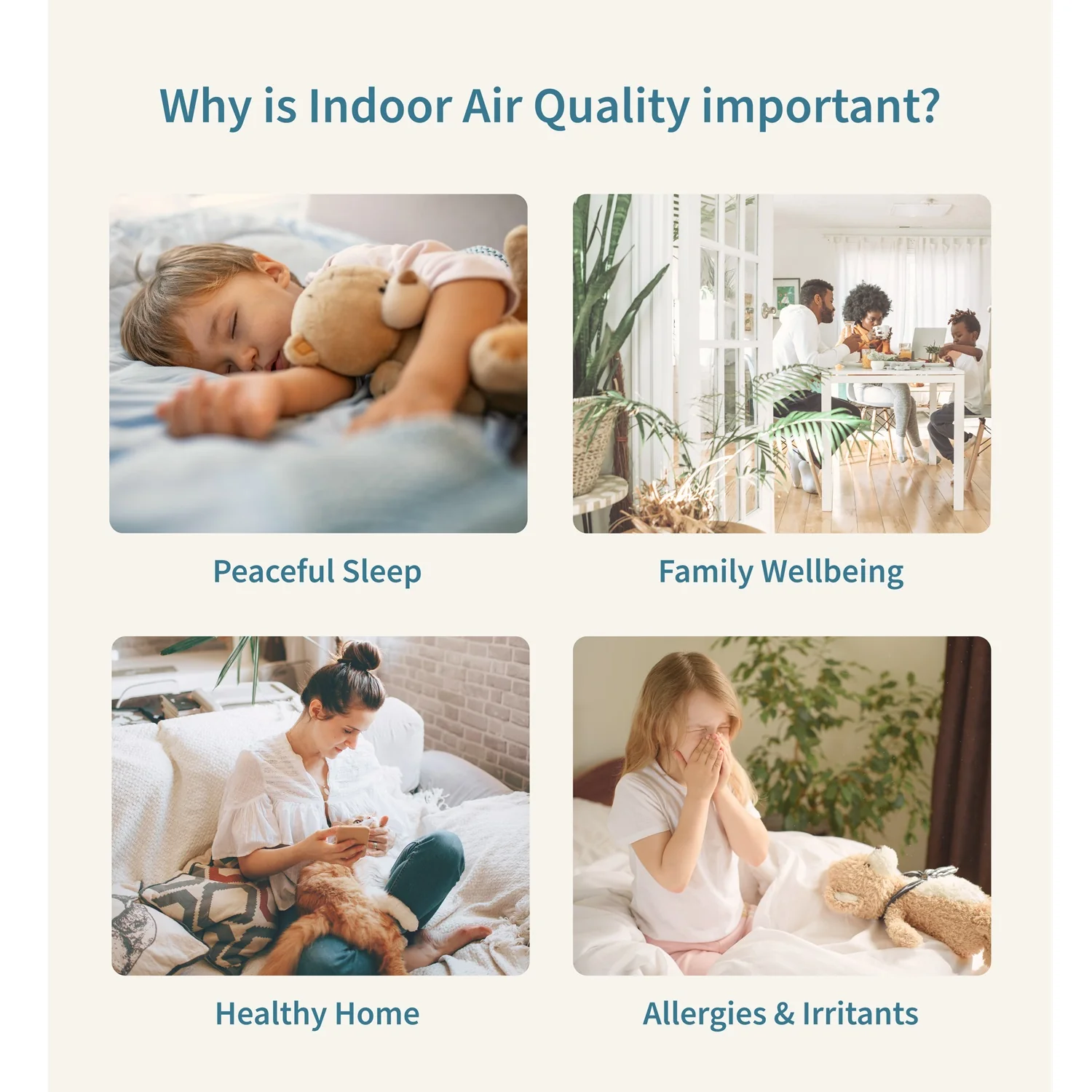 Nooku - Mini Air Quality Monitor - Image 6