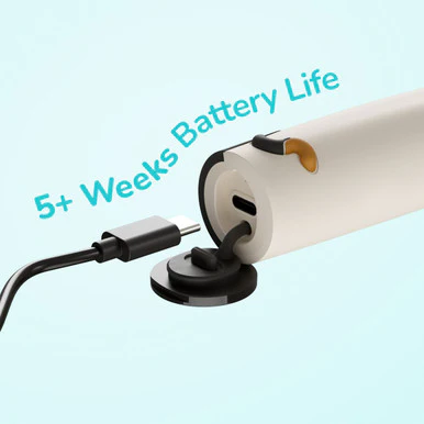 Ordo Sonic Kids Rechargeable Toothbrush - Squishmallows Cam - Image 6