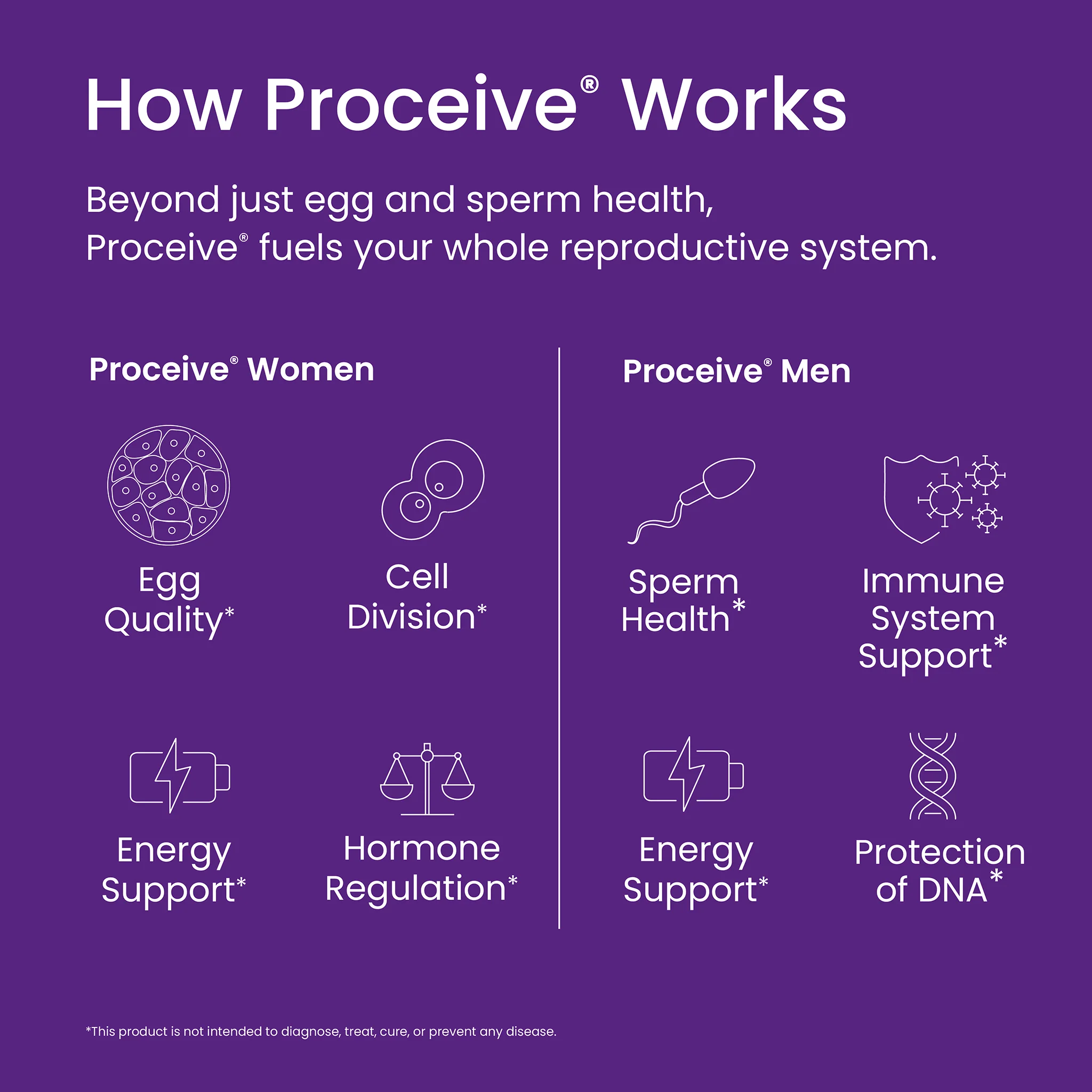 Proceive Dual Pack 120 Capsules - Image 5