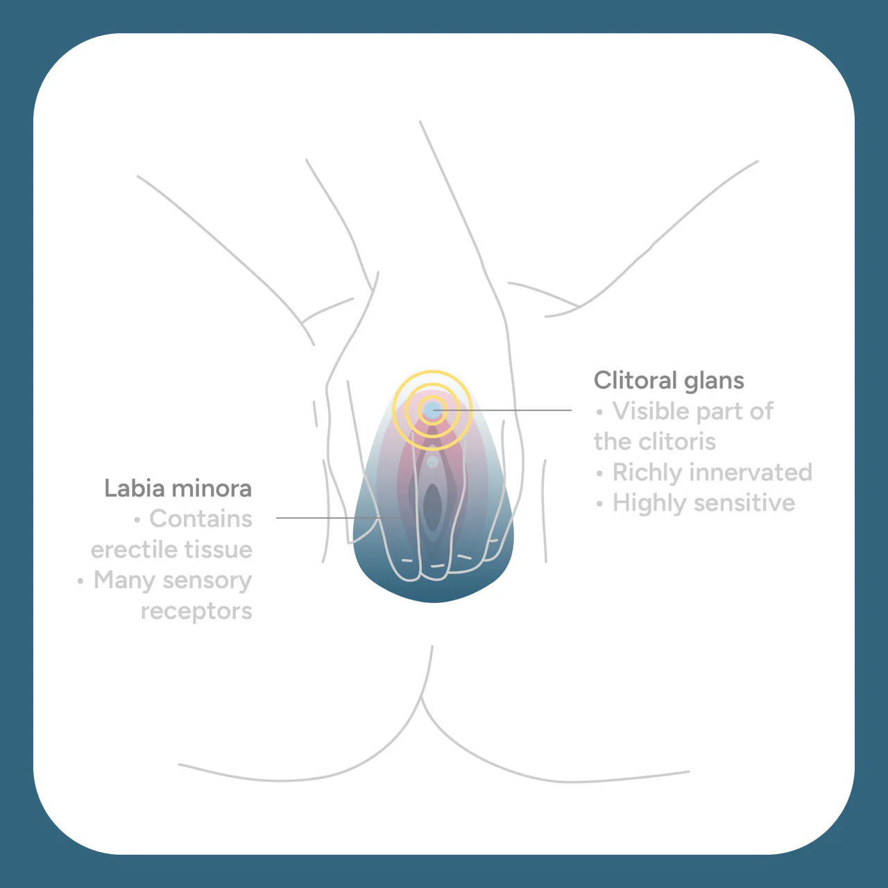 Smile Makers The Ballerina Vulva & Clitoral Vibrator - Image 4