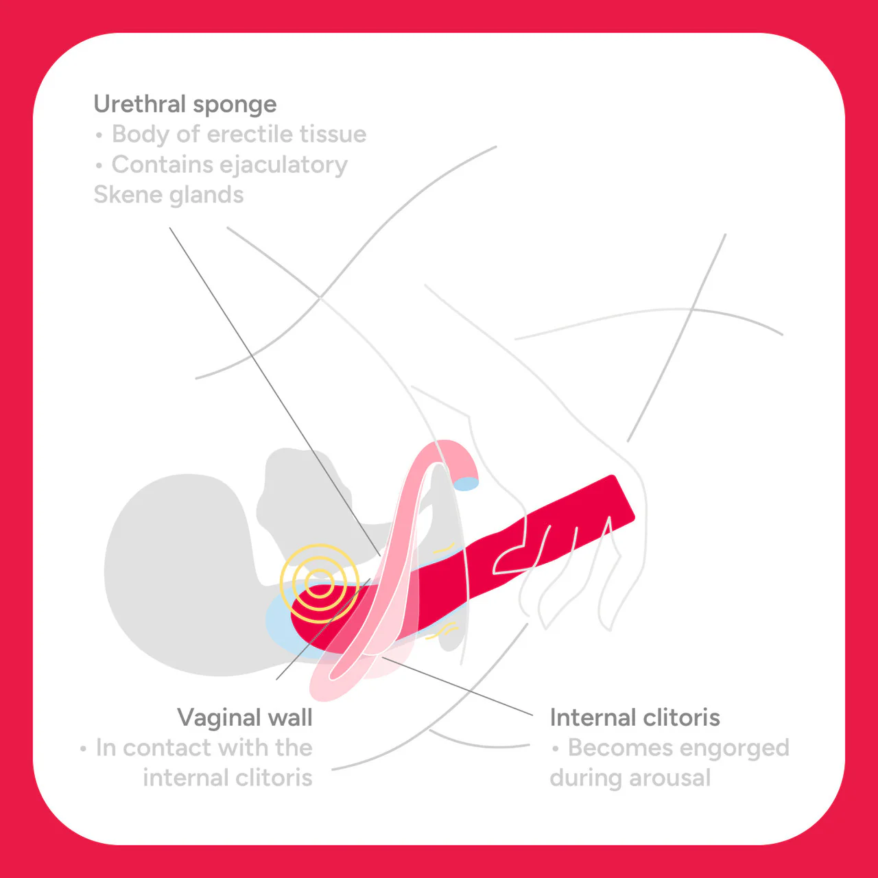 Smile Makers The Romantic Internal Vibrator - Image 4