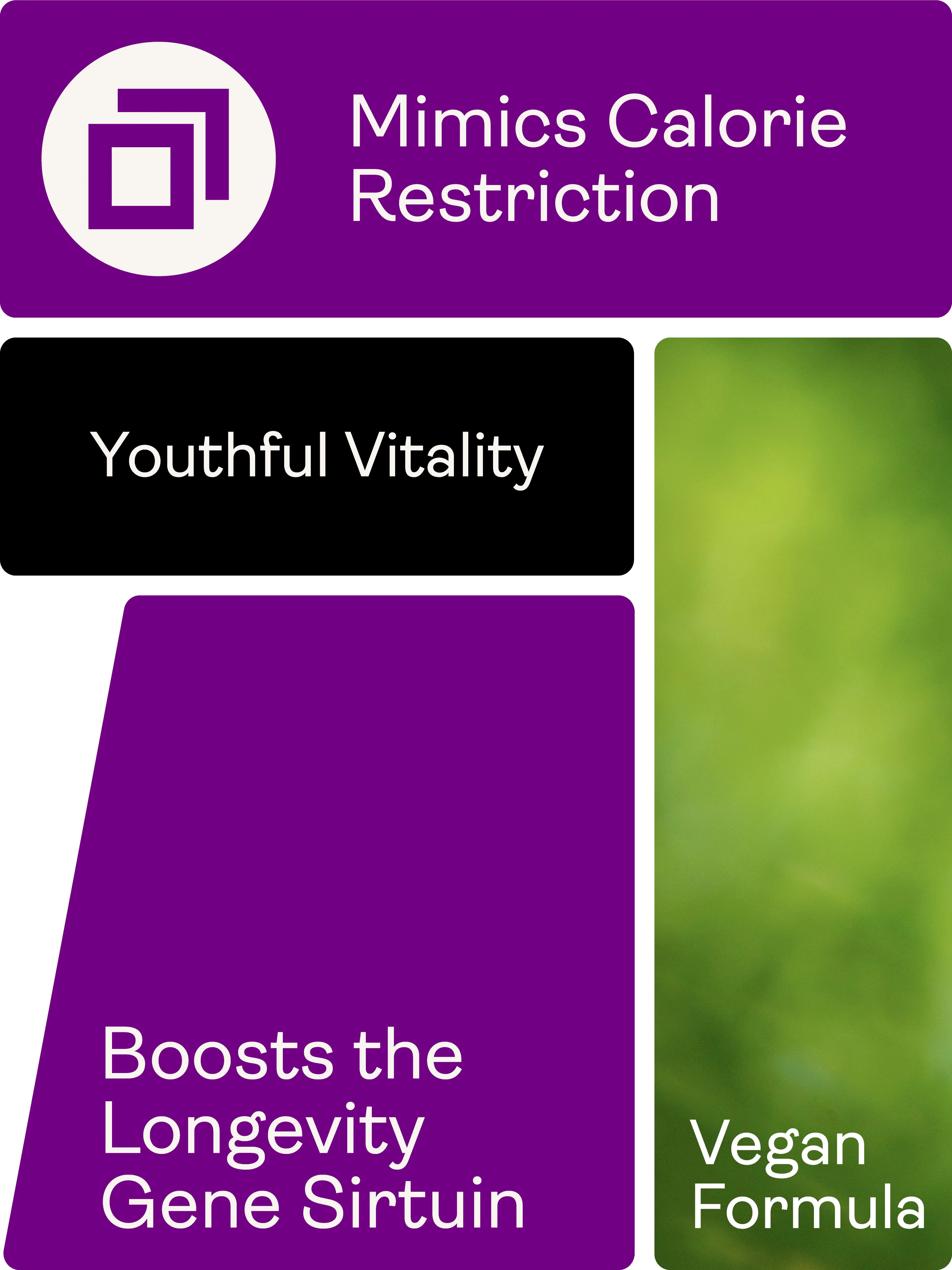 Youth & Earth Preservage (Trans-Resveratrol, Curcumin, Quercetin, BioPerine) 410mg 60 capsules - Image 6